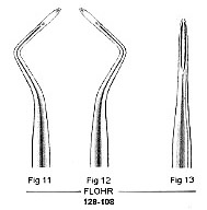 Flohr Root Elevator
